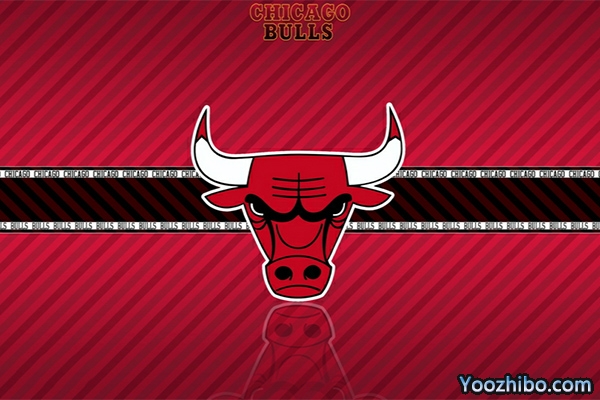 <a href=/lanqiujingsai/bulls/ target=_blank class=infotextkey>公牛</a>队