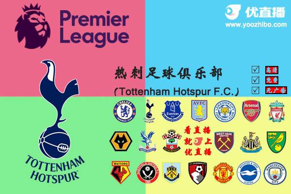 2019-20赛季<a href=/zuqiujingsai/hotspur/ target=_blank class=infotextkey>热刺</a>阵容名单一览